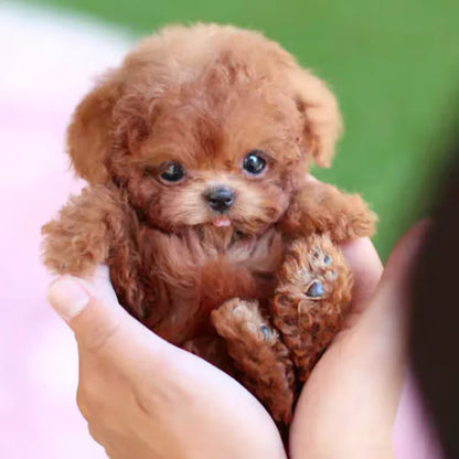 FurEverJoy™ — Feel Heartwarming Puppy Magic Without the Mess or Noise