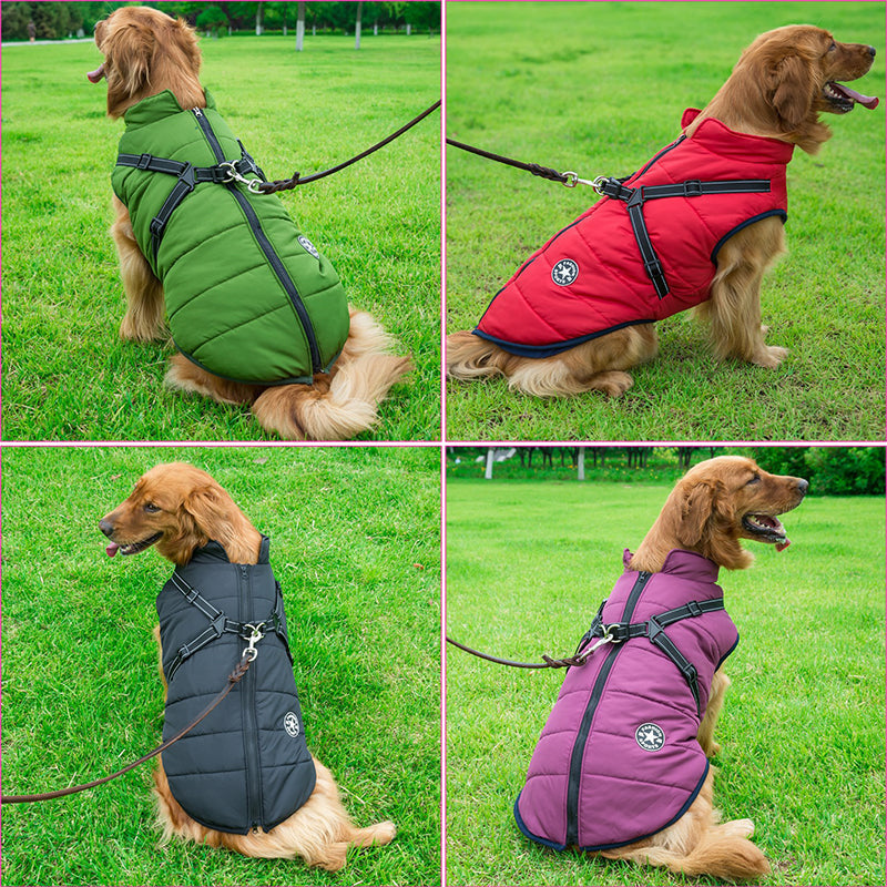 BraveTail™ Weather Jacket — Wrap Your Dog in Cozy Warmth and Effortless Control, Rain or Shine
