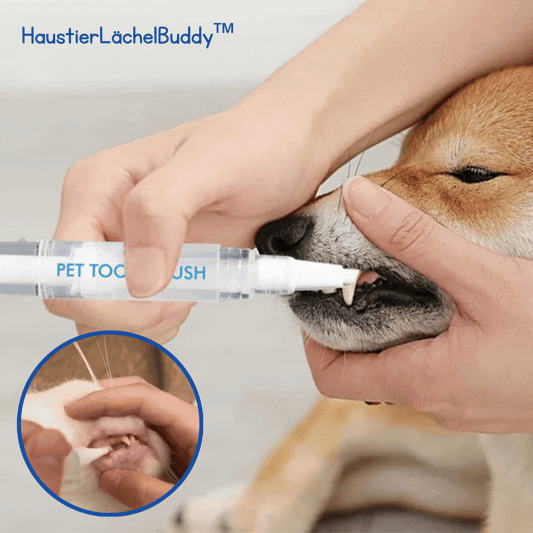 PetBright™ — Effortless Care for a Happier, Healthier Pet Smile