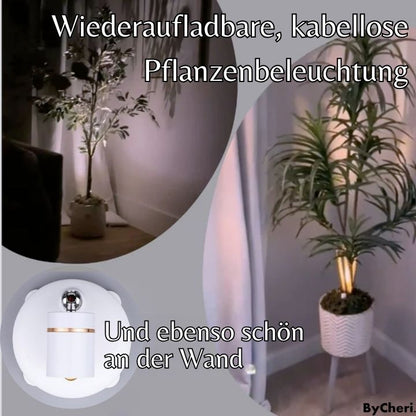 1 + 1 FREE | SpotPerfect™ | Turn Your Home into a Lavish Sanctuary!