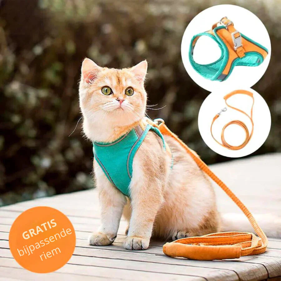 RamoraStride™ — Let Your Cat Explore Freely with Comfort and Nighttime Safety