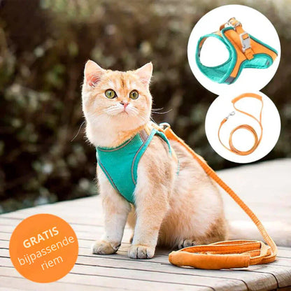 RamoraStride™ — Let Your Cat Explore Freely with Comfort and Nighttime Safety