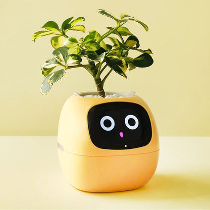 BloomBot™ | Intelligent Plant Pot