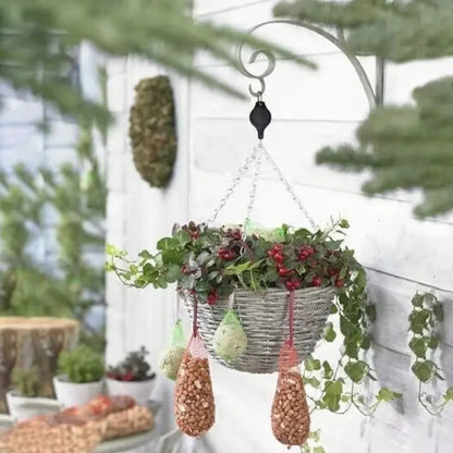2+2 Free | Elegant Plant Hanging Set for Your Home Decor