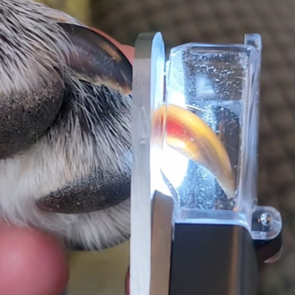 PrimiGroom™ — Trim with Laser Precision for Calm, Confident Pet Care Every Time