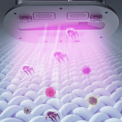 VitaSweep™ — Experience Effortless Freedom and Deep Clean Comfort Wherever You Go