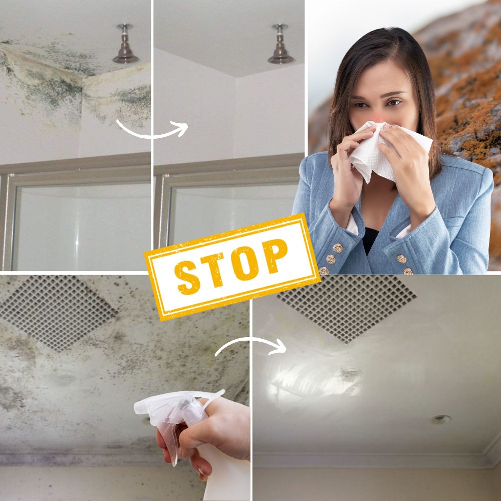 BactiShield™ — Quickly Eliminate Mold for a Safer, Fresher Home
