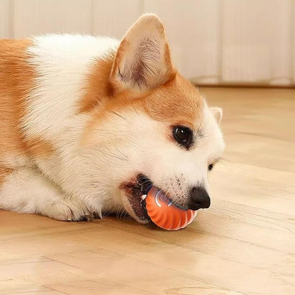 SparkTail™ — Ignite Your Dog’s Wild Instincts with Endless Thrills and Nonstop Fun
