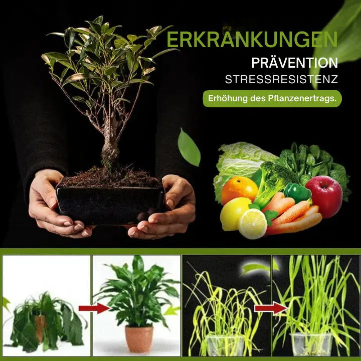 EcoIgnite | 3-Day Activator for Garden Soil