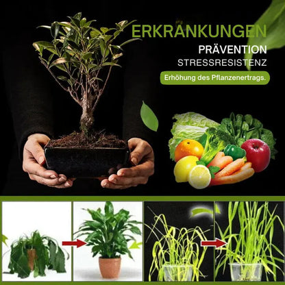 EcoIgnite | 3-Day Activator for Garden Soil