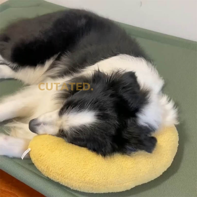 SereneRest™ — The Ultimate Calm Haven for Happy, Pain-Free Dogs