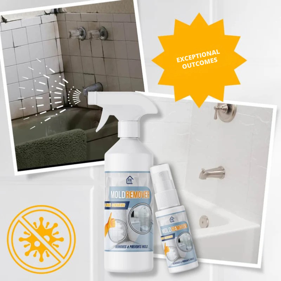 BactiShield™ — Quickly Eliminate Mold for a Safer, Fresher Home