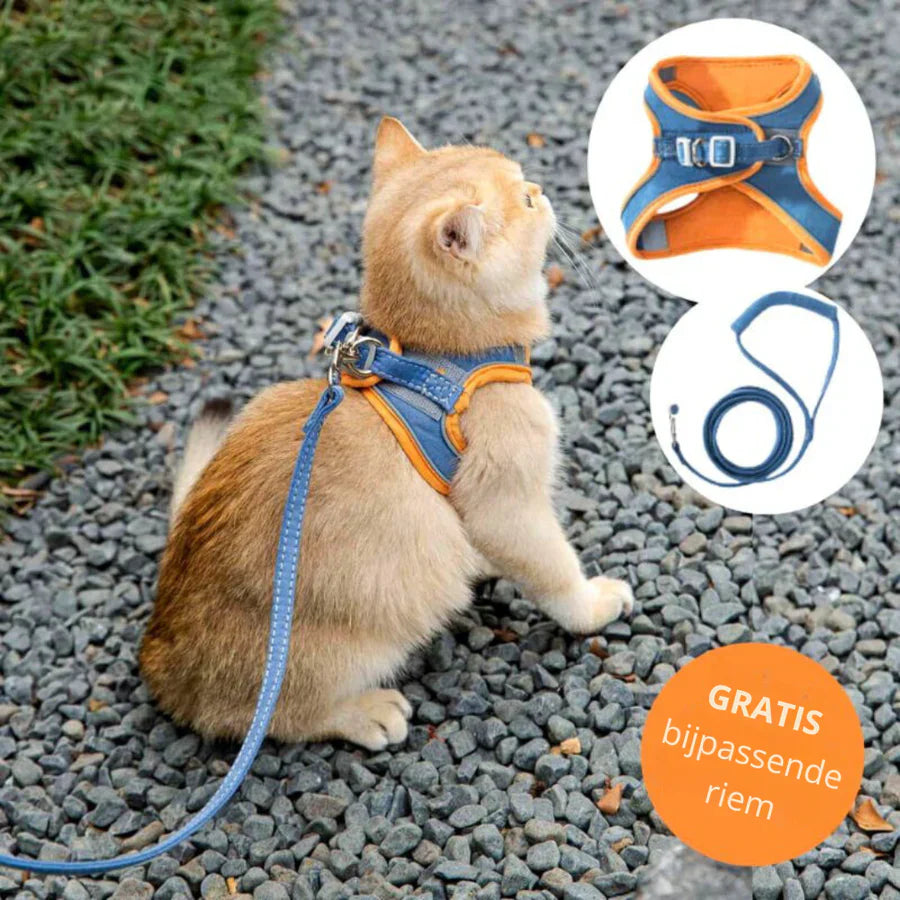 RamoraStride™ — Let Your Cat Explore Freely with Comfort and Nighttime Safety