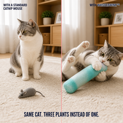 WhiskerWink™ — Spark Bunny-Kicks That Exhaust Even the Most Selective Cat