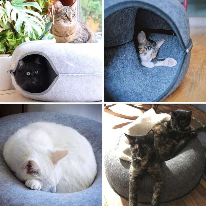 CatDome - Donut-Shaped Cat Tunnel Bed