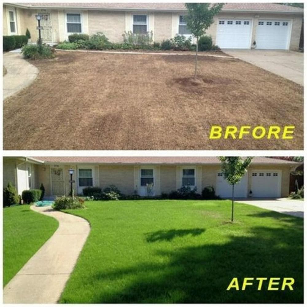 EarthBlade™ — Transform Your Lawn Into an Instant Showstopper That Demands Attention