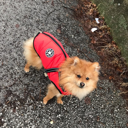 BraveTail™ Weather Jacket — Wrap Your Dog in Cozy Warmth and Effortless Control, Rain or Shine