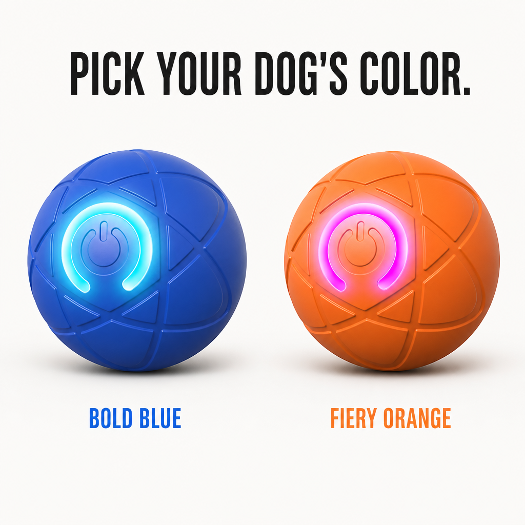 DashRoll™ — Tire Out Your Dog’s Energy Hands-Free While You Work