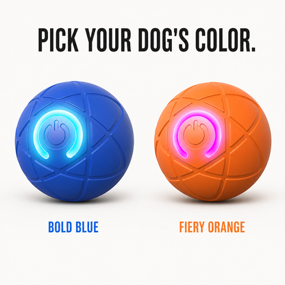 DashRoll™ — Tire Out Your Dog’s Energy Hands-Free While You Work