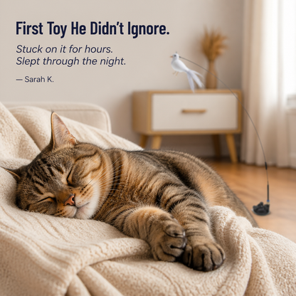 FeliFrenzy™ — Place It, Leave It, See Your Cat Chase for Hours
