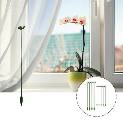 EasyPlant™ Elegant Stem Support