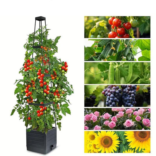 SkyRise Stand™ — Transform Cramped Spaces into Towering Gardens That Thrive Effortlessly