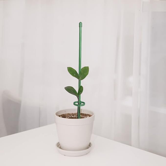 GrowSteady™ — Unshakable Support That Grows Your Garden Into a Lush Powerhouse