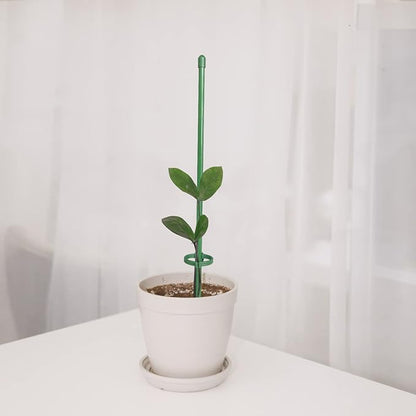 GrowSteady™ — Unshakable Support That Grows Your Garden Into a Lush Powerhouse