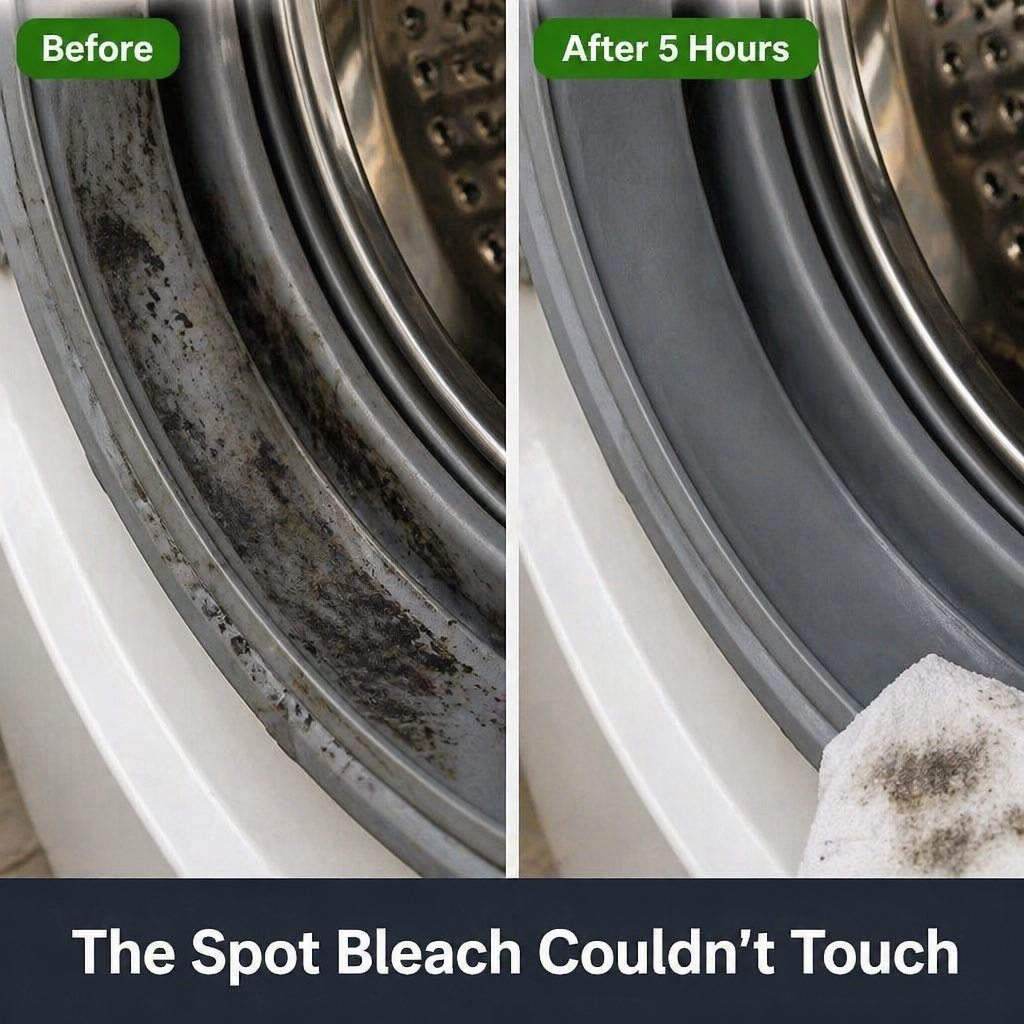 MoldClearPro™ — Remove Black Mold From Silicone, Grout & Rubber Seals Within Hours