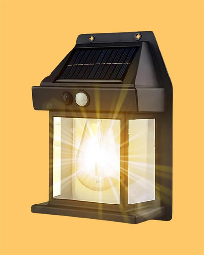 RadiLux™ — Transform Your Outdoors with Effortless, Storm-Proof Solar Glow