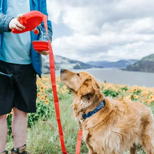 GripGuard™ — Take Back Control and Transform Every Walk into Pure Joy