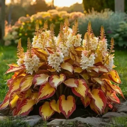 ShadeBloom™ — Transform Shadowy Corners into Vibrant, Lush Garden Magic