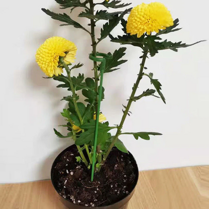 EasyPlant™ Elegant Stem Support