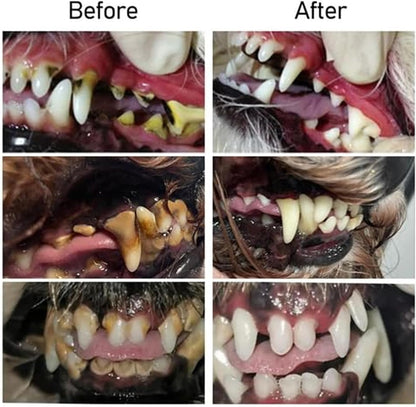 FurMirth™ — Unleash Radiant Smiles and Fresh Breath Your Pet Will Love