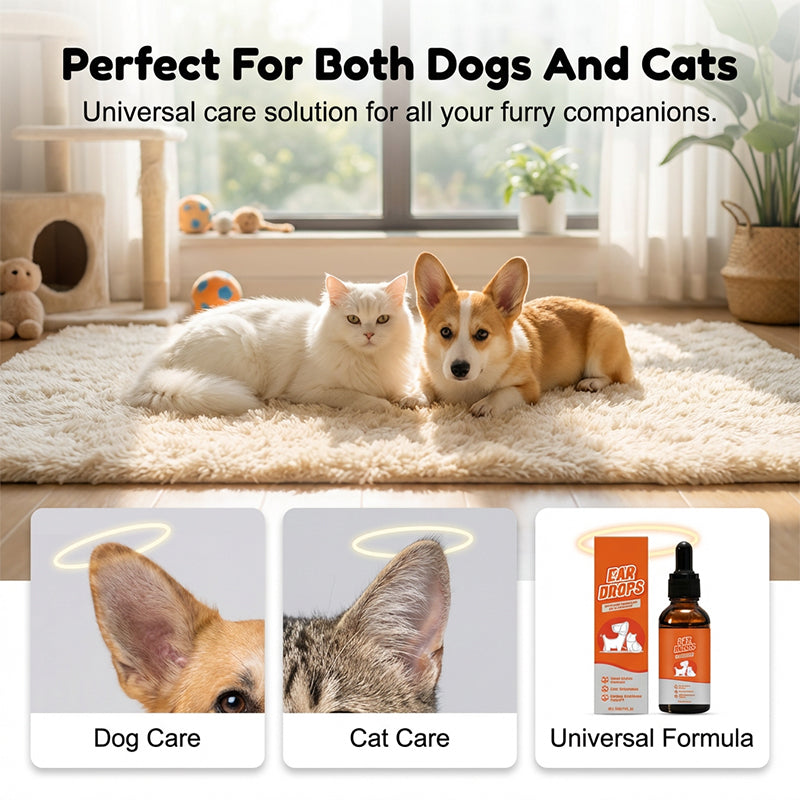 CalmiaPet™ — Turn Ear Care into Comfort and Cuddle Time