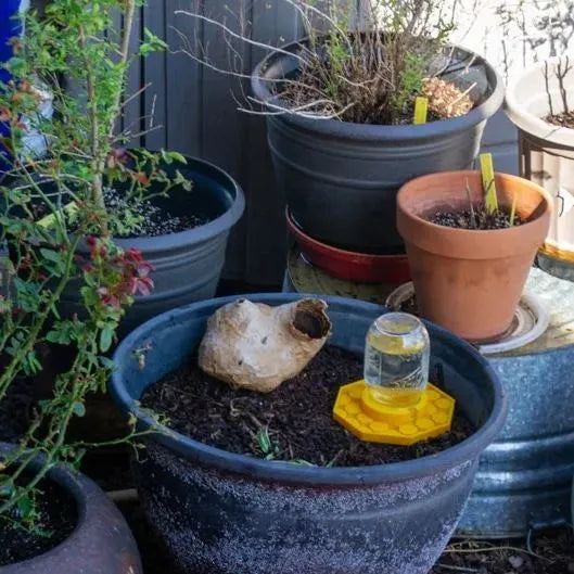 BuzzBloom – Garden Decorative Bee Watering Spot