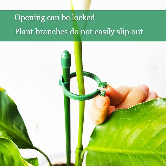GrowSteady™ — Unshakable Support That Grows Your Garden Into a Lush Powerhouse