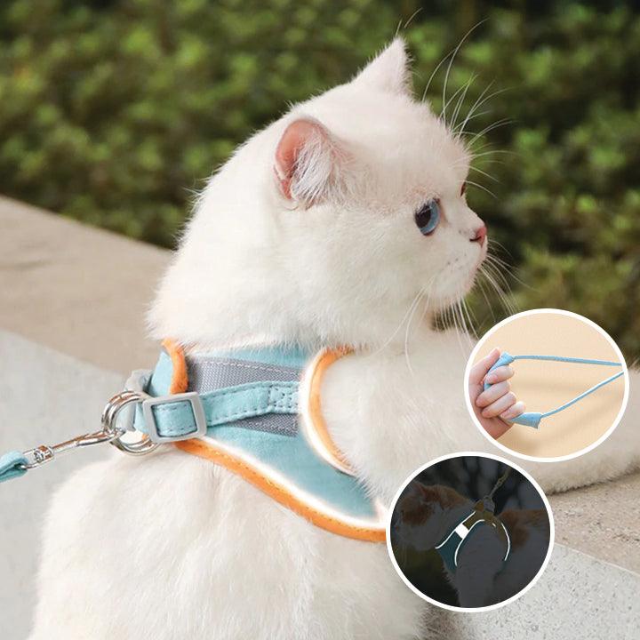 RamoraStride™ — Let Your Cat Explore Freely with Comfort and Nighttime Safety