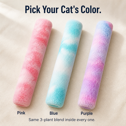 WhiskerWink™ — Spark Bunny-Kicks That Exhaust Even the Most Selective Cat