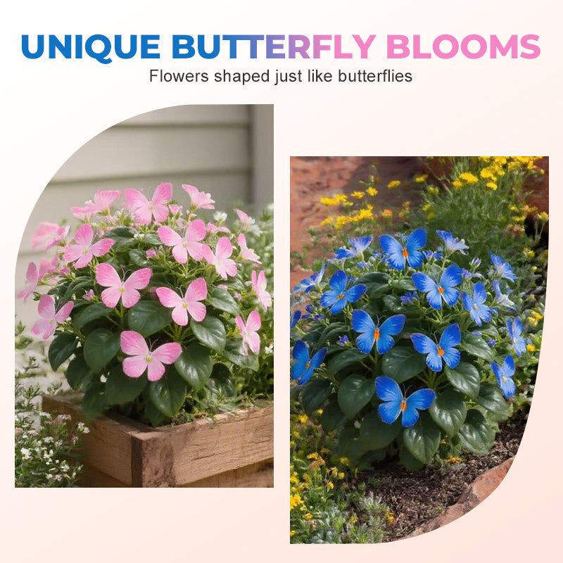 LunaWing™ Butterfly Bloom Seeds — Watch Your Garden Spark Magic with Stunning Butterfly Blooms
