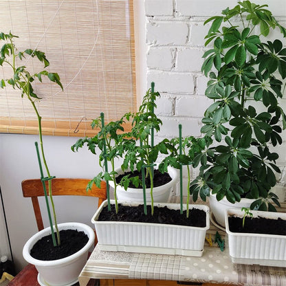GrowSteady™ — Unshakable Support That Grows Your Garden Into a Lush Powerhouse