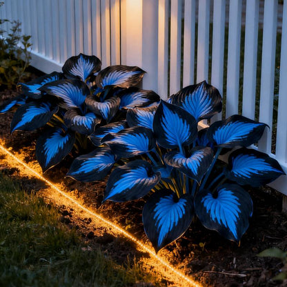 ShadePulse™ — Revive Every Shadow with Effortless, Vibrant Garden Life