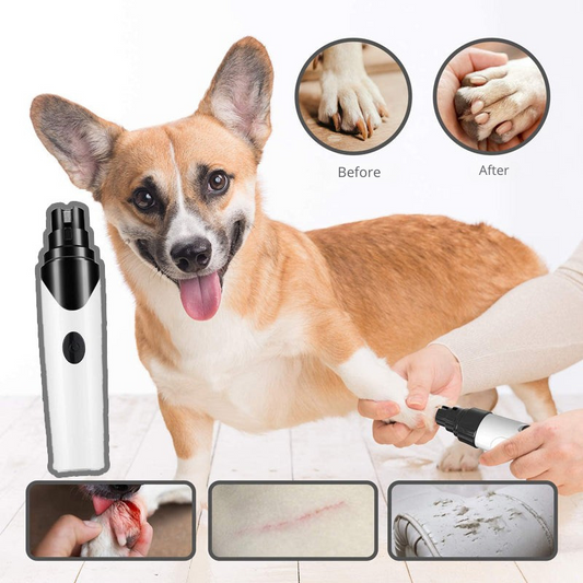 Stress-free pet nail file for your animal