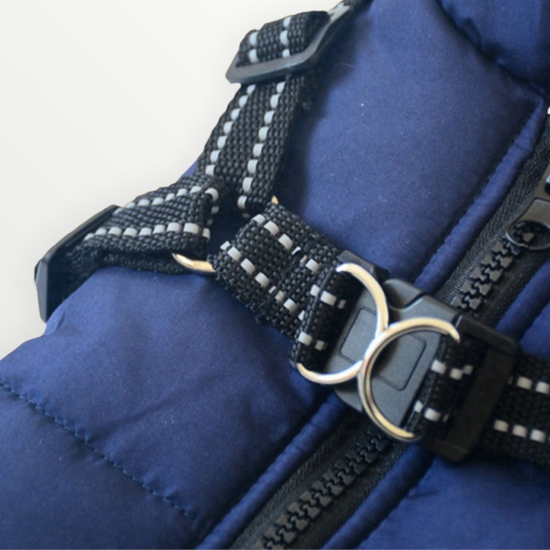 BraveTail™ Weather Jacket — Wrap Your Dog in Cozy Warmth and Effortless Control, Rain or Shine