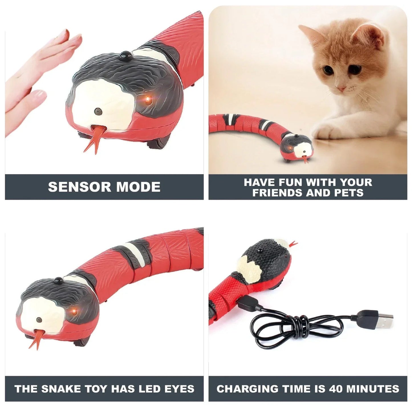 SlitherPaws™ — Unleash Your Cat’s Wild Chase and Endless Energy