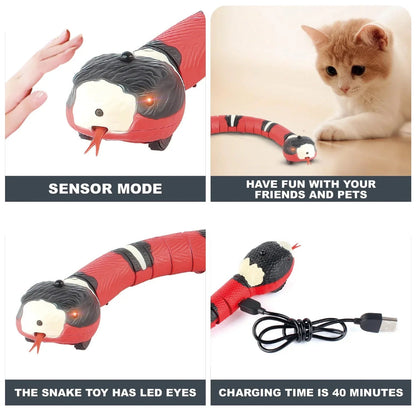 SlitherPaws™ — Unleash Your Cat’s Wild Chase and Endless Energy