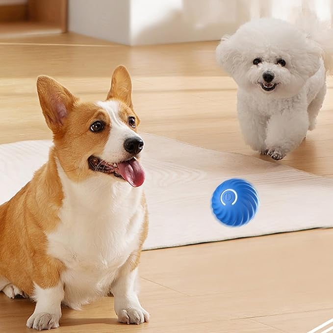 SparkTail™ — Ignite Your Dog’s Wild Instincts with Endless Thrills and Nonstop Fun