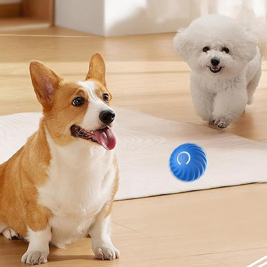 SparkTail™ — Ignite Your Dog’s Wild Instincts with Endless Thrills and Nonstop Fun
