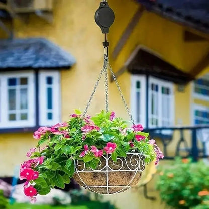 2+2 Free | Elegant Plant Hanging Set for Your Home Decor