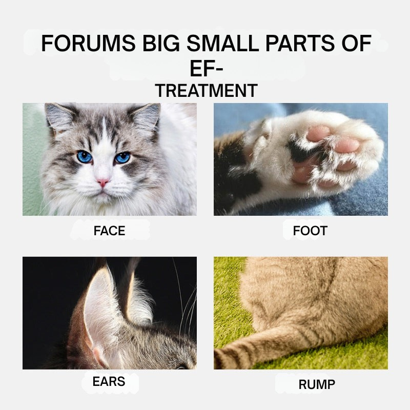PawFinesse™ — Groom Your Pet Calmly with Precision and No Cuts